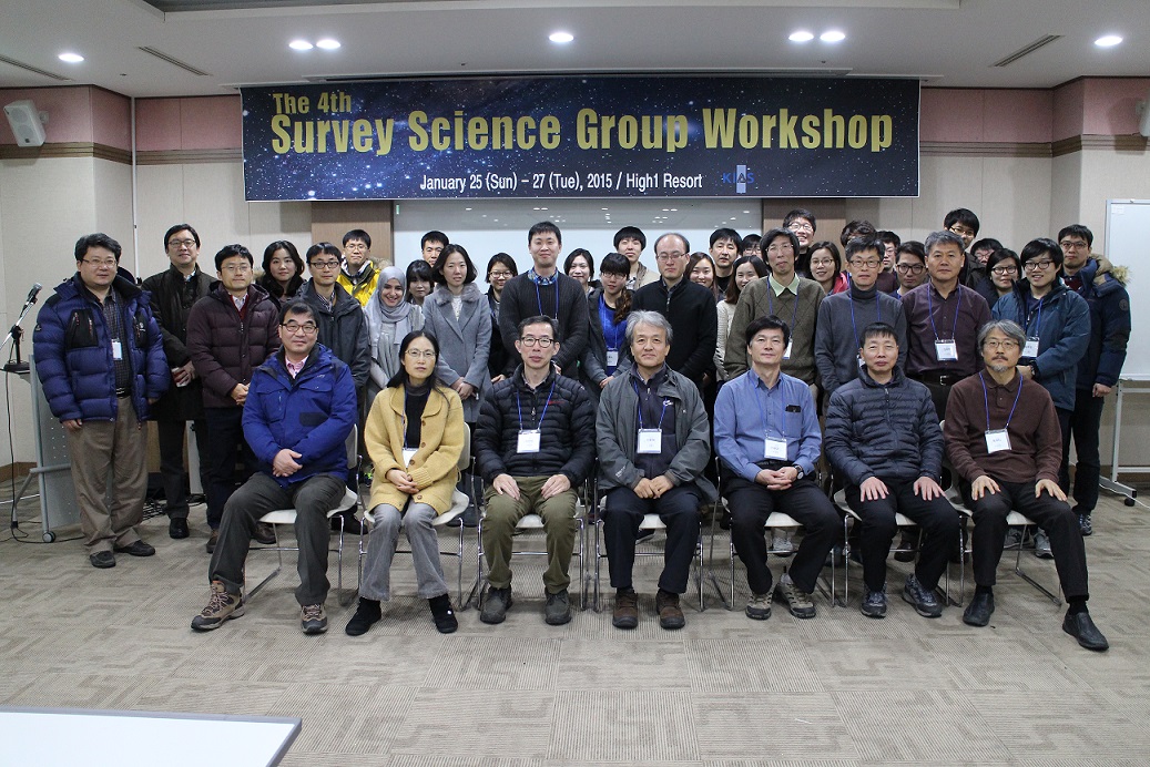 Survey Science Group